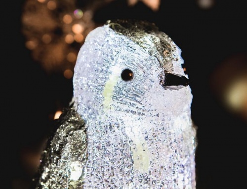 Светящийся "Маленький пингвин", цветной акрил, 24 холодных белых LED огня, 20 см, уличный, Kaemingk фото 3
