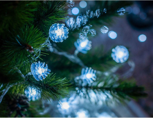 Светодиодная гирлянда ЛЕСНЫЕ ШИШКИ, 20 холодных белых LED-огней, 4 м, прозрачный ПВХ, IP20, Serpantin фото 3