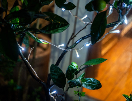 Светодиодная гирлянда 24V Premium Led 200 холодных белых LED ламп 20 м, прозрачный СИЛИКОН, соединяемая, контроллер, IP54, BEAUTY LED фото 5