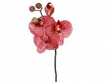 "Цветок фаленопсиса" красный, 37 см, Edelman