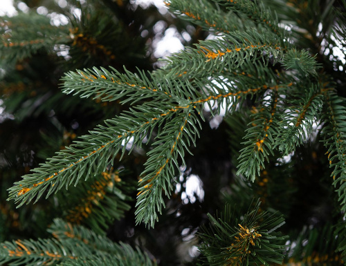 Искусственная ель Альба, Crystal Trees фото 2