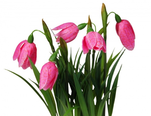 Искусственные цветы в горшочке "Весенняя радость - розовый первоцвет", 19 см, Edelman фото 2