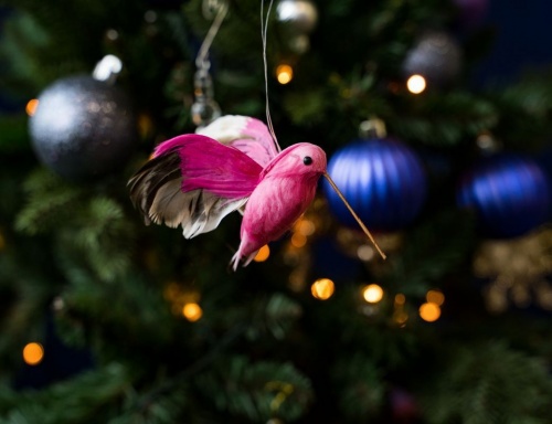 Ёлочная игрушка "Изысканная колибри", розовая, 13 см, SHISHI фото 2
