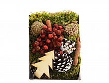 Декоративный набор "Лесной уют" (с ёлочкой), натуральные материалы, подарочная коробка, 14х20 см, Kaemingk