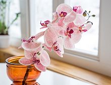Декоративная ветка искусственная "Орхидея", полиэстер, 77 см, Kaemingk