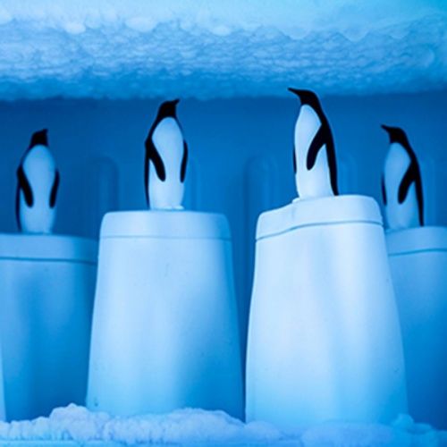 Форма для эскимо penguin on ice фото 4