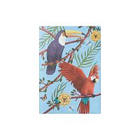 Обложка на паспорт New Joyparrots, попугаи