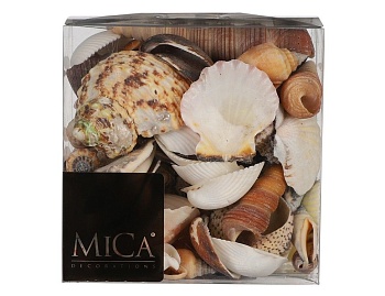 Набор для декорирования "Ракушки морские" натуральные, коричневая гамма, 10x6x10 см, Edelman
