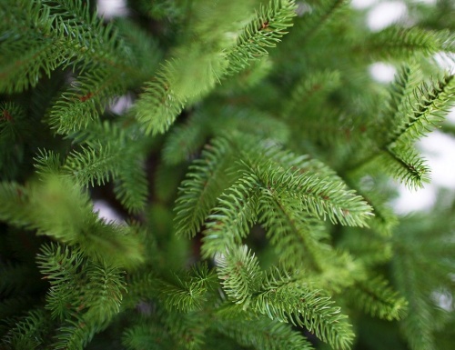 Искусственная елка Берген Люкс, ЛИТАЯ 100%, GREEN TREES фото 3