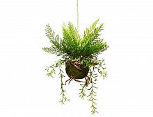 Искусственный папоротник "Лесной орляк" в кокедаме, подвесной, пластик, натуральный мох, 48 см, Kaemingk
