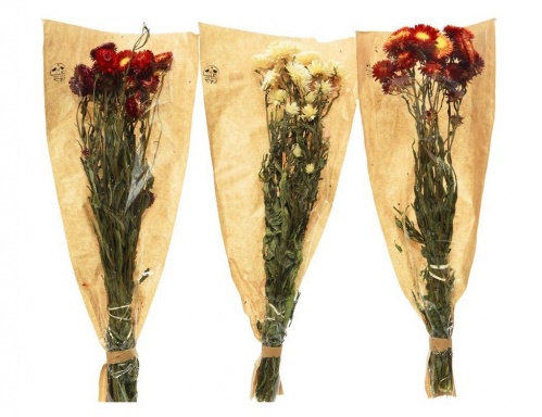 Букет из высушенных цветов "Златоцвет", 25x10x50 см, разные модели, Kaemingk фото 2