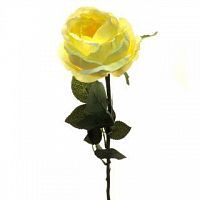 Роза Престиж шиповник желтая  68 см (24 шт.в упак.)