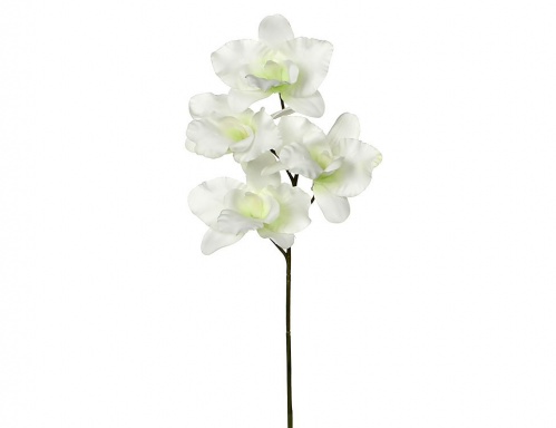 "Цветок фаленопсиса" кремовый, 26 см, Edelman фото 2