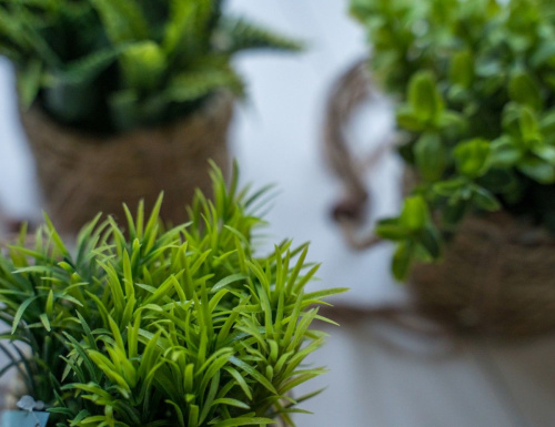 Искусственное растение COZY GREENS в подвесном джутовом кашпо, пластик, 8х12 см, Kaemingk фото 2