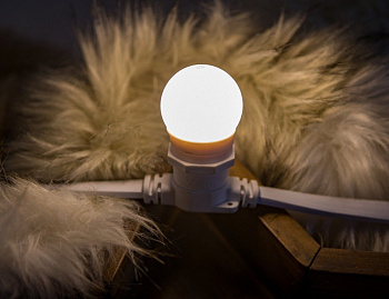 Лампа для Белт Лайт LED теплая белая, 45 мм, Е27, 2 Вт, Rich LED