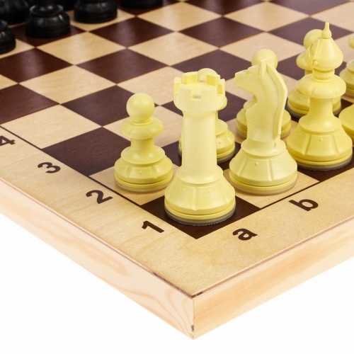 Шахматы "Айвенго" обиходные (пластик) с деревянной шахматной доской, высота короля 71 мм фото 2
