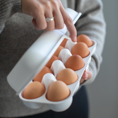 Контейнер для яиц eggs to go, белый фото 5