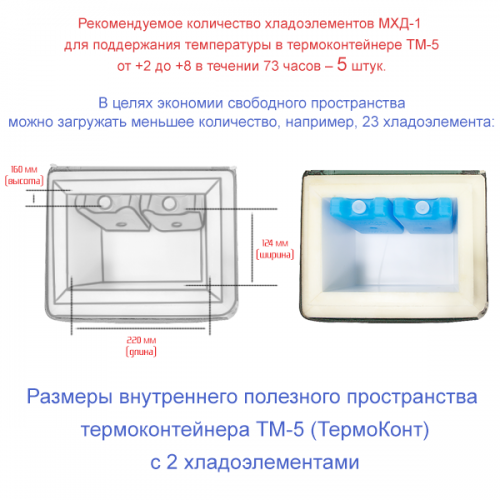 Термоконтейнер медицинский ТМ-5 в сумке-чехле фото 9