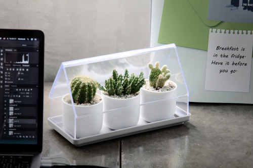 Лоток для выращивания растений micro green house прозрачный фото 8