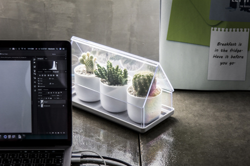 Лоток для выращивания растений micro green house прозрачный фото 7