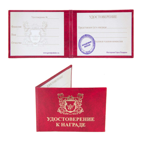 Наградная продукция - Орден "Гордость России Гагарин элит" (диаметр 5 см) фото 2