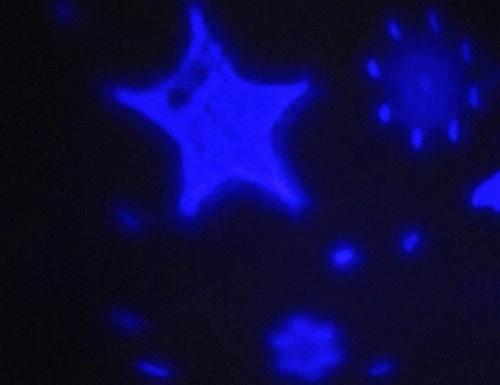 Настольный проектор "Полёт санты в звёздном небе", LED-огонь, смена цветов, 16x13 см, таймер, батарейки, Kaemingk фото 2