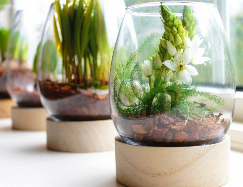 Стеклянная ваза - флорариум на деревянной подставке "Таула", 4 SEASONS фото 4