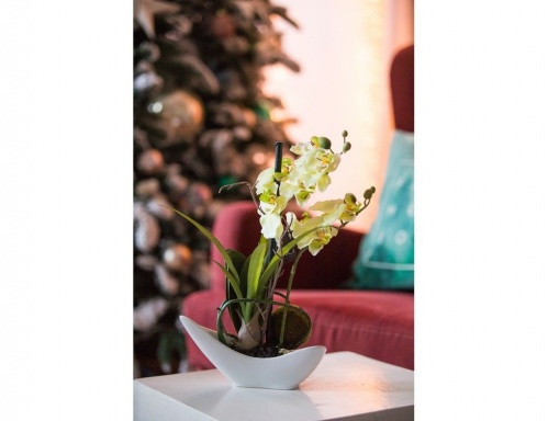 "Орхидея" в кашпо-лодочке, кремовая, 29 см, Edelman фото 2