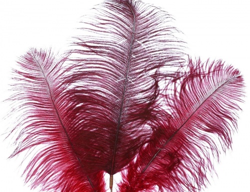 Декоративный стик "Страусиные перья", 61х20 см, Edelman фото 2