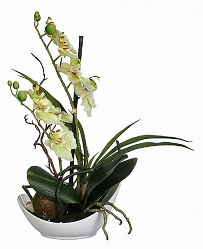 "Орхидея" в кашпо-лодочке, кремовая, 29 см, Edelman