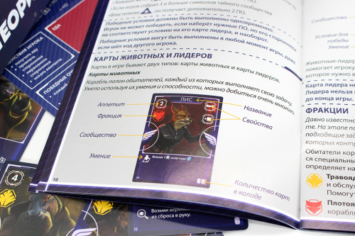Настольная игра Теория Власти фото 8