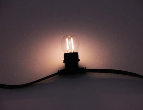 Светодиодная филаментная лампа для Белт-лайта Rich LED, теплая белая, d-45 мм, 2 Вт, Е27, Rich LED фото 2