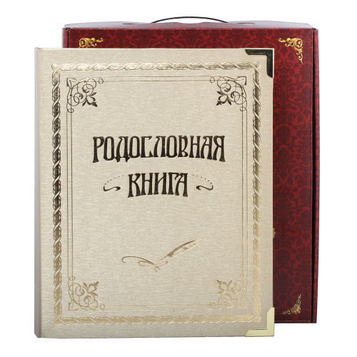 Подарочная книга - "АртКнижка" - Родословная книга "Классическая золотая" в картонной коробке, размеры: 24,5×31,5×5 см, материалы: картон, цвет: белый