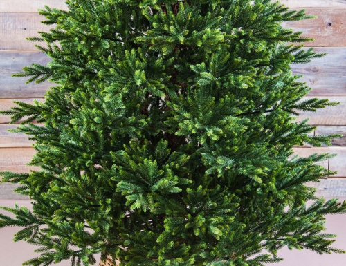 Искусственная елка Королевская Премиум, "Литая" 100% (Triumph Tree) фото 2