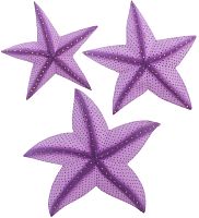 Панно «Морская звезда» набор из трех (о.Бали)