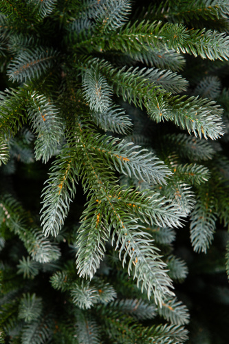 Искусственная ель Изумрудная Эдит, Crystal Trees фото 8