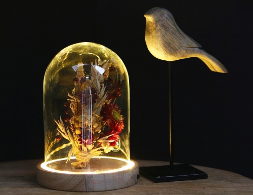 Стеклянный клош на деревянной подставке "Свет волшебства" для декоративных композиций, с подсветкой, 16.5 см, 4 SEASONS фото 2