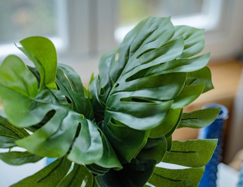 Искусственное растение подвесное "Монстера", пластик, 60х50 см, Kaemingk фото 3