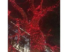 Гирлянды на дерево Клип Лайт Quality Light 60 м, 600 красных LED ламп, с мерцанием, прозрачный ПВХ, IP44, BEAUTY LED