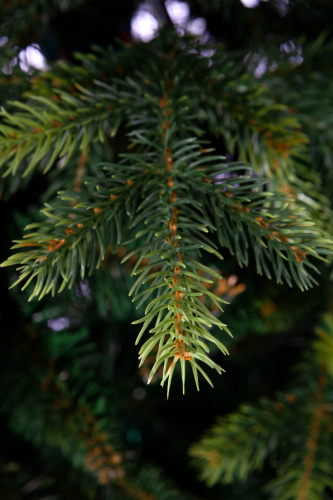 Искусственная ель Княжеская зеленая, Crystal Trees фото 6