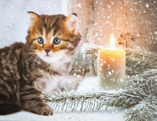 Светящаяся картина ЛЮБОПЫТНЫЙ КОТЁНОК, 1 жёлтый LED-огонь, 40х30 см, SNOWHOUSE фото 6
