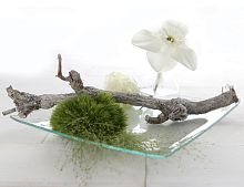 Стеклянная тарелка РЕДЖИНА ТРАНСПАРЕНТЕ, квадратная, 20 см, 4 SEASONS