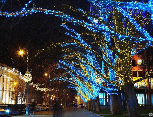 Клип Лайт - Спайдер Quality Light 100 м, 1000 синих LED ламп, черный ПВХ, IP44, BEAUTY LED фото 3