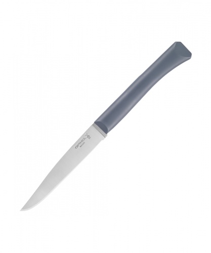 Набор столовых ножей Opinel, полимерная ручка, нерж, сталь, кор. антрацит. 001907 фото 2