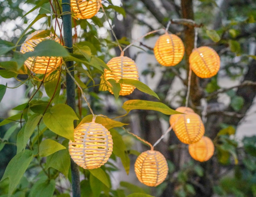 Светодиодная гирлянда ШАНЬСИ, 10 теплых белых LED-огней, 1.35+0.5 м, таймер, батарейки, уличная, Koopman International