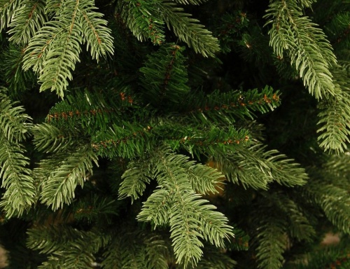 Искусственная елка "Сосна изумрудная пристенная", угловая, (литая хвоя РЕ+PVС),Triumph Tree фото 3