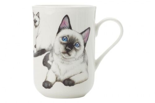 Фарфоровая кружка сиамская кошка в подарочной упаковке, 54380