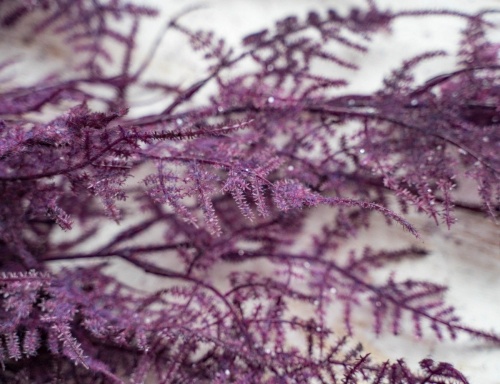 Гирлянда-подвеска "Аспарагус" фиолетовая, 110 см, Kaemingk фото 3