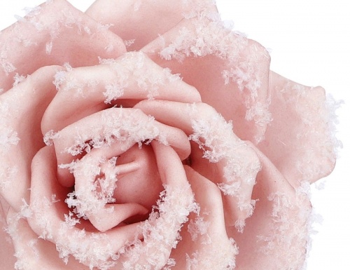 Украшение "Роза - морозное очарование" на клипсе, фоамиран, нежно-розовая, 14 см, Edelman фото 2
