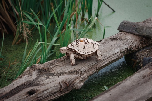 Конструктор деревянный 3D EWA Механическая Черепаха фото 7